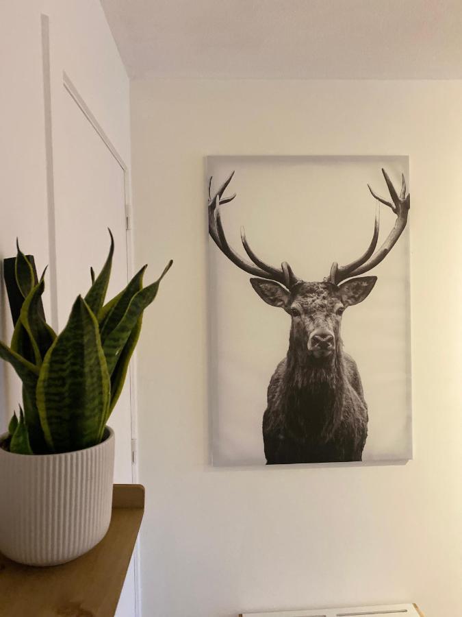 Studio Penthouse Nieuwpoort Zewnętrze zdjęcie